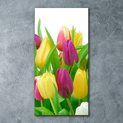 Acrylique tableau Tulipes colorées