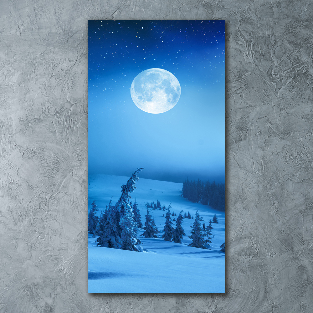 Tableau verre acrylique Pleine lune