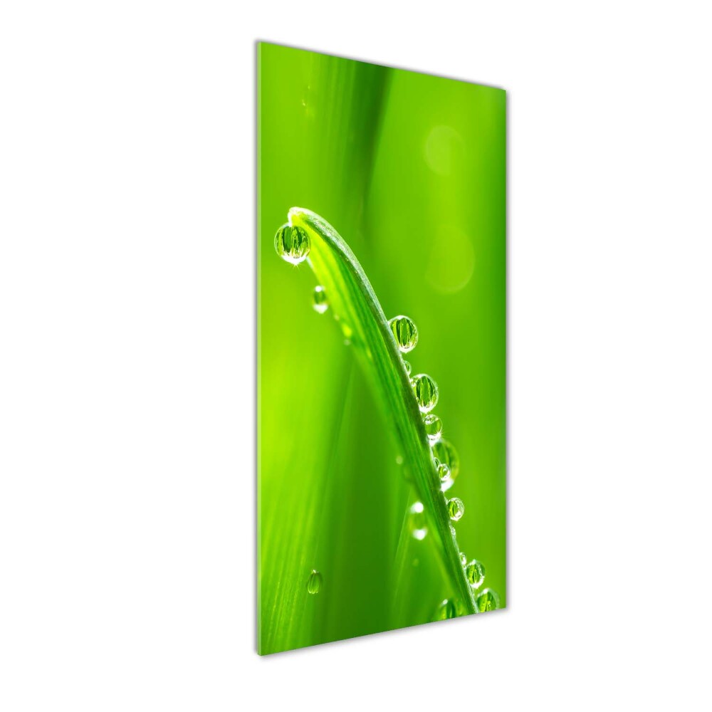 Tableau acrylique Tiges d'herbe