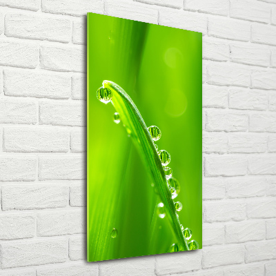 Tableau acrylique Tiges d'herbe