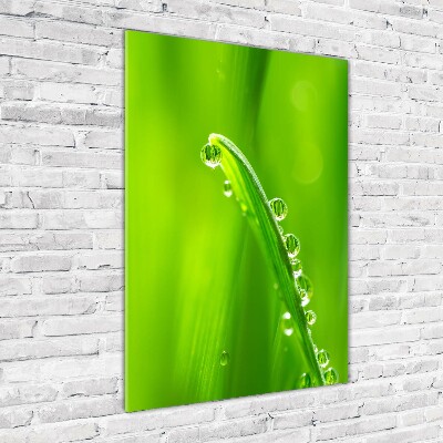 Tableau acrylique Tiges d'herbe