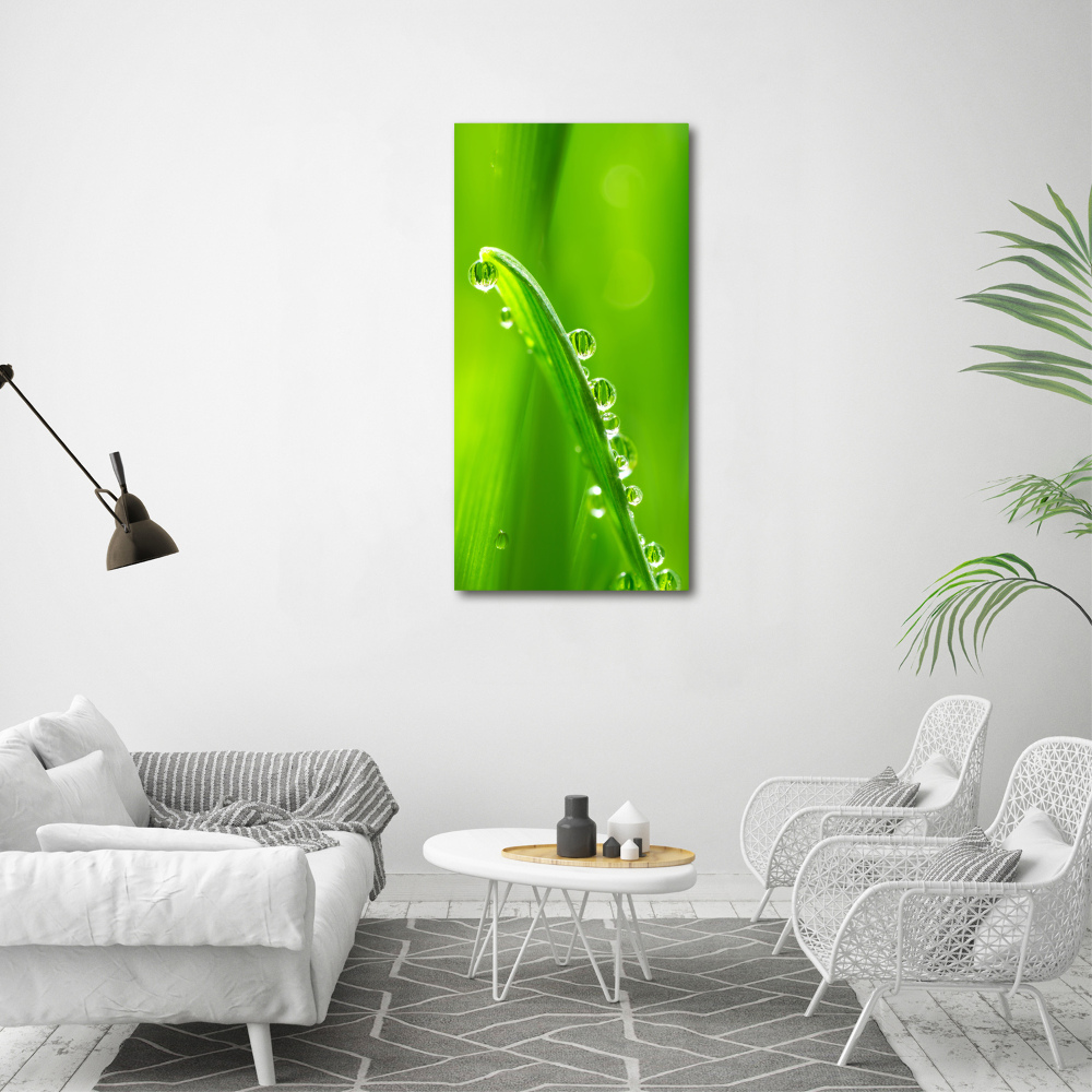 Tableau acrylique Tiges d'herbe