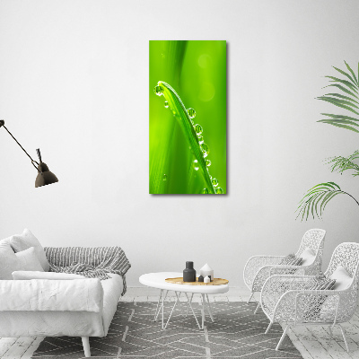 Tableau acrylique Tiges d'herbe