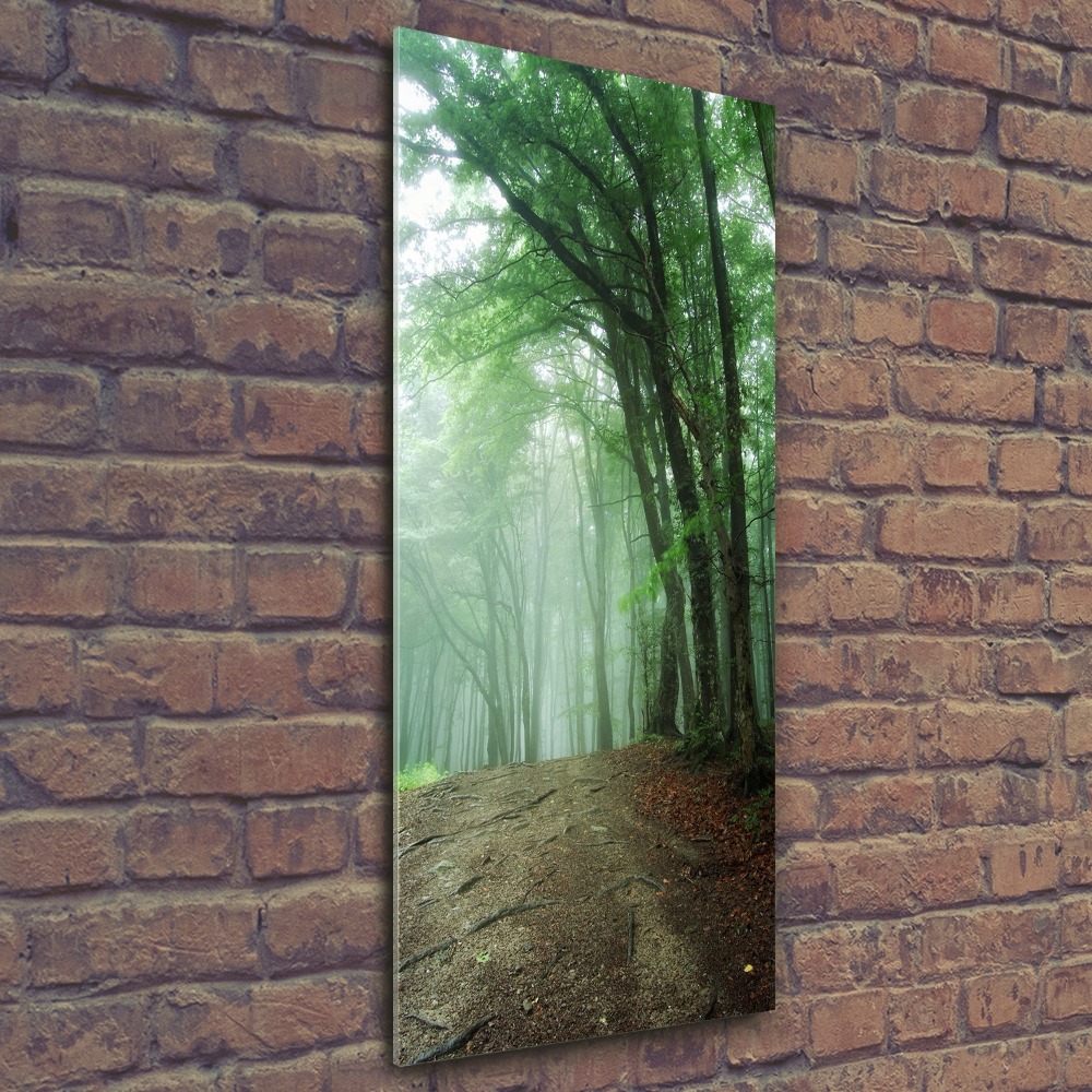 Tableau sur verre acrylique Brume dans la forêt