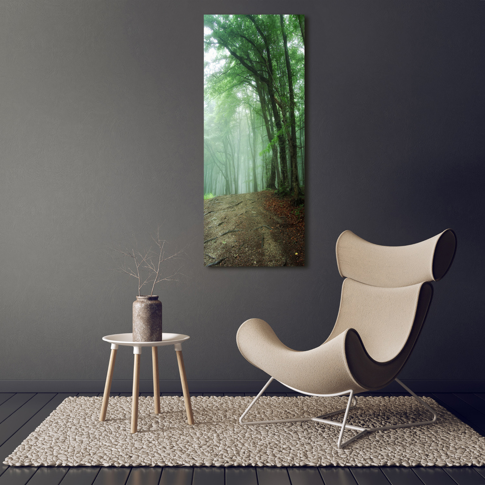 Tableau sur verre acrylique Brume dans la forêt