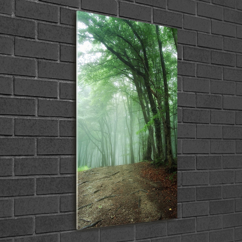 Tableau sur verre acrylique Brume dans la forêt