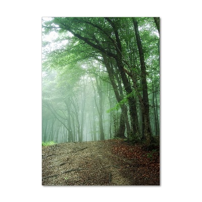 Tableau sur verre acrylique Brume dans la forêt