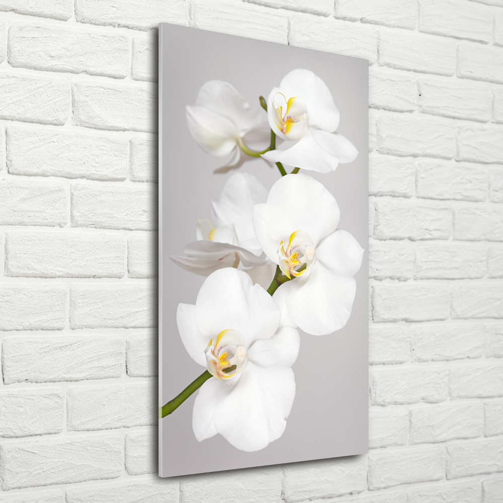 Acrylique tableau Orchidée blanche