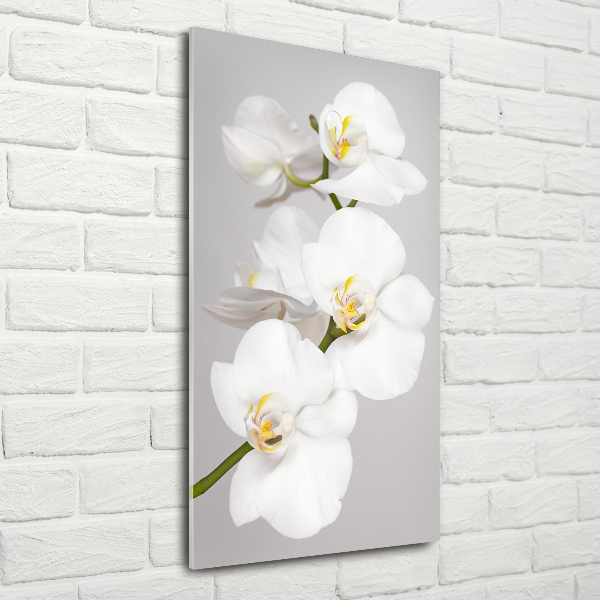Acrylique tableau Orchidée blanche