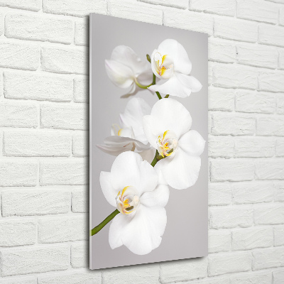 Acrylique tableau Orchidée blanche