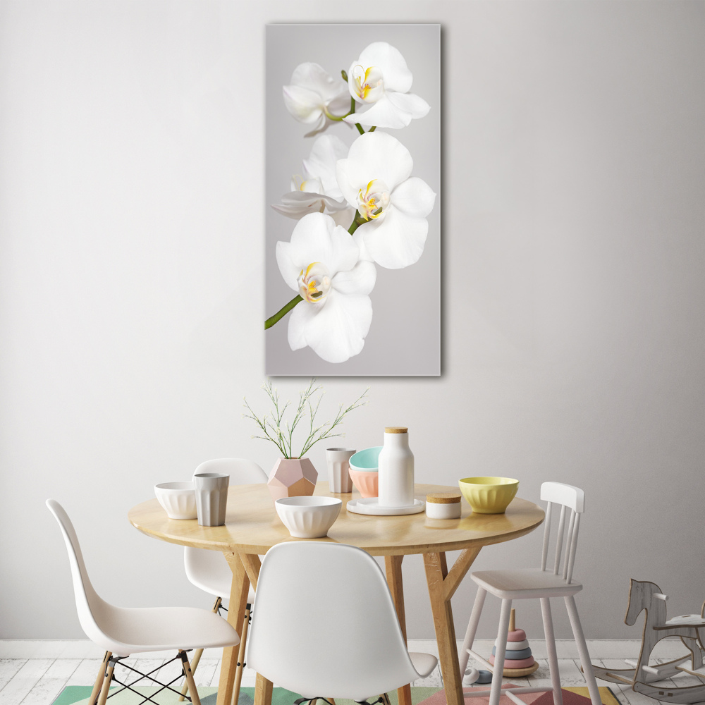 Acrylique tableau Orchidée blanche