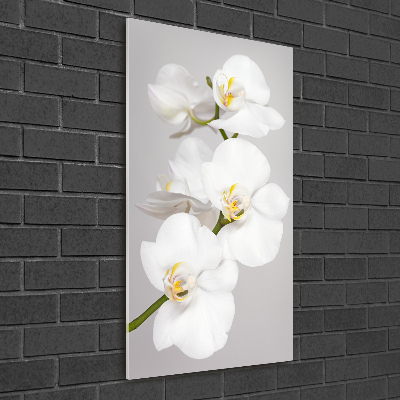 Acrylique tableau Orchidée blanche