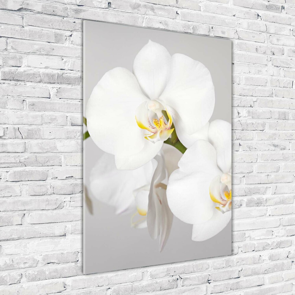 Acrylique tableau Orchidée blanche