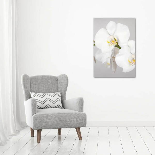 Acrylique tableau Orchidée blanche
