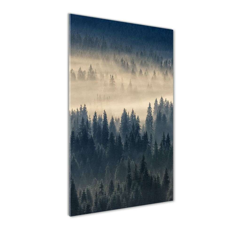 Tableau sur verre acrylique Brume sur la forêt