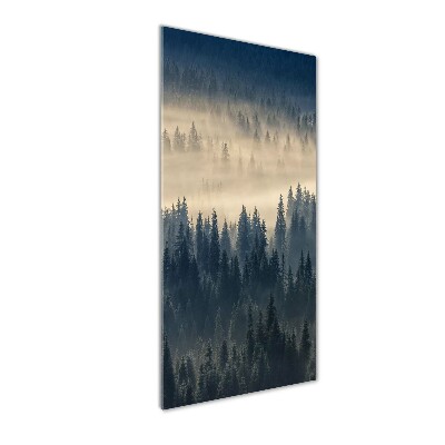 Tableau sur verre acrylique Brume sur la forêt