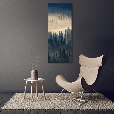 Tableau sur verre acrylique Brume sur la forêt