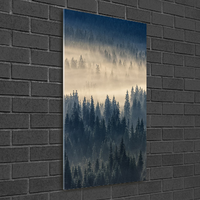 Tableau sur verre acrylique Brume sur la forêt