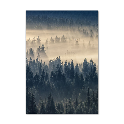 Tableau sur verre acrylique Brume sur la forêt