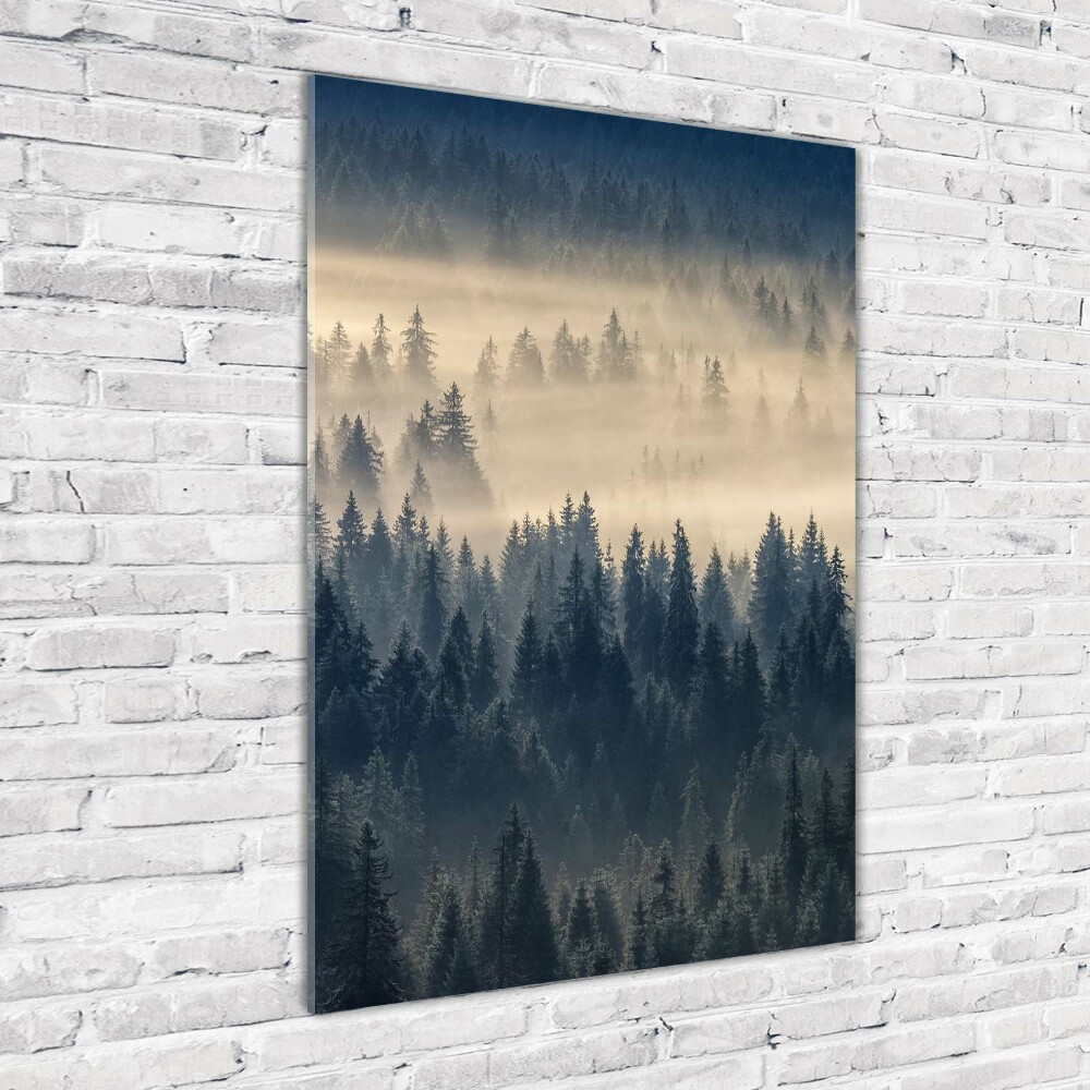 Tableau sur verre acrylique Brume sur la forêt