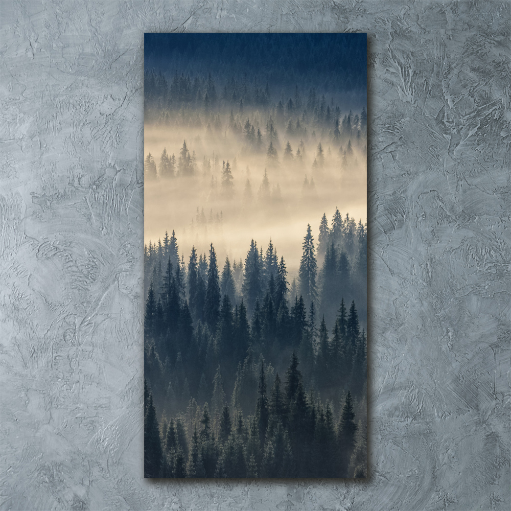 Tableau sur verre acrylique Brume sur la forêt