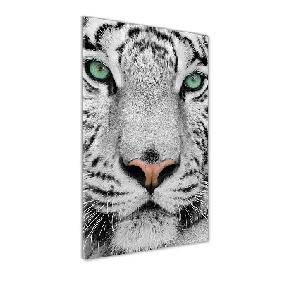 Tableau sur verre acrylique Tigre blanc