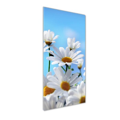 Tableau verre acrylique Marguerites