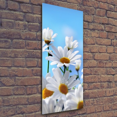 Tableau verre acrylique Marguerites