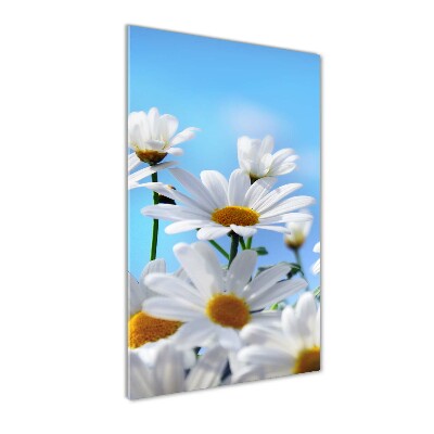 Tableau verre acrylique Marguerites