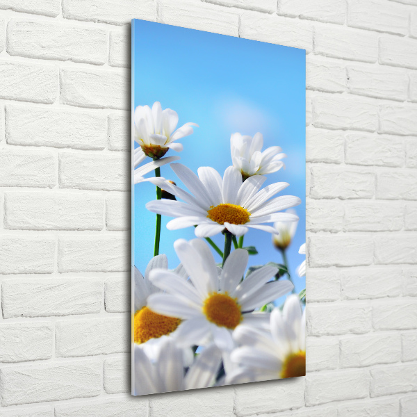 Tableau verre acrylique Marguerites