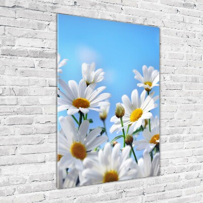 Tableau verre acrylique Marguerites