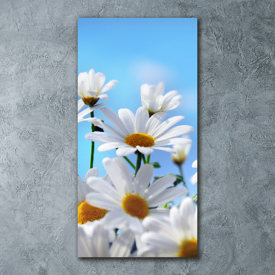 Tableau verre acrylique Marguerites