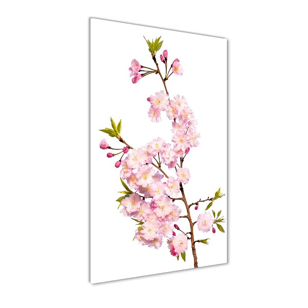 Tableau acrylique Fleur de cerisier plante