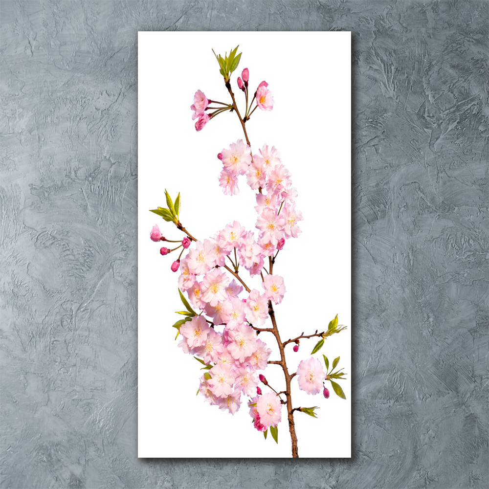 Tableau acrylique Fleur de cerisier plante