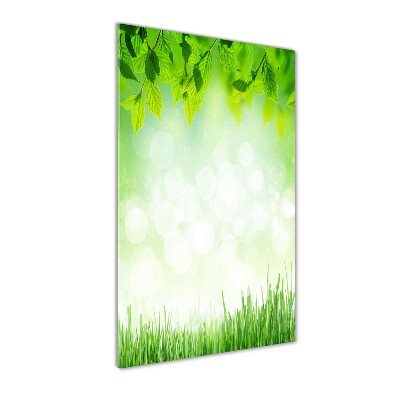 Tableau acrylique Feuilles et herbe