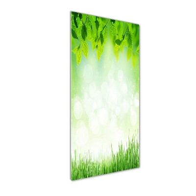 Tableau acrylique Feuilles et herbe