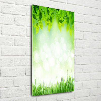 Tableau acrylique Feuilles et herbe