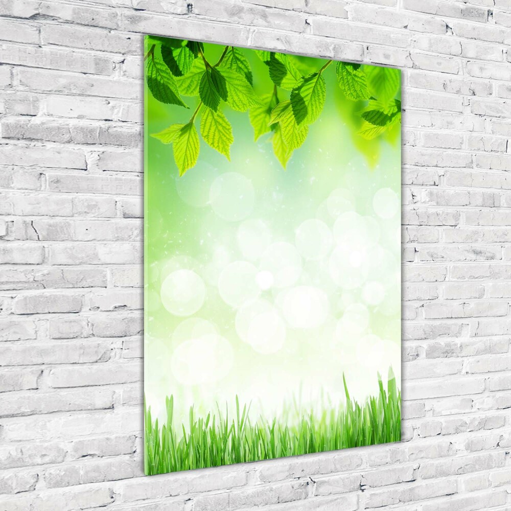 Tableau acrylique Feuilles et herbe