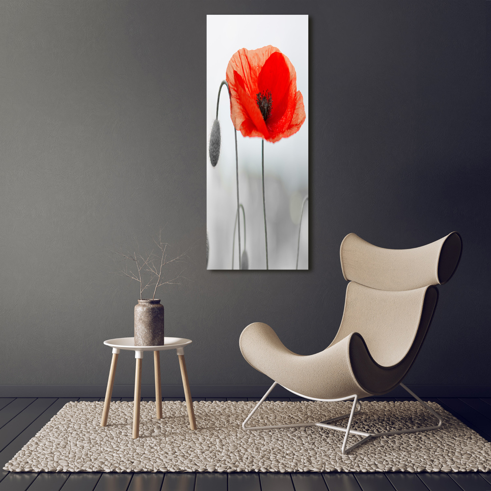 Tableau verre acrylique Coquelicots des champs