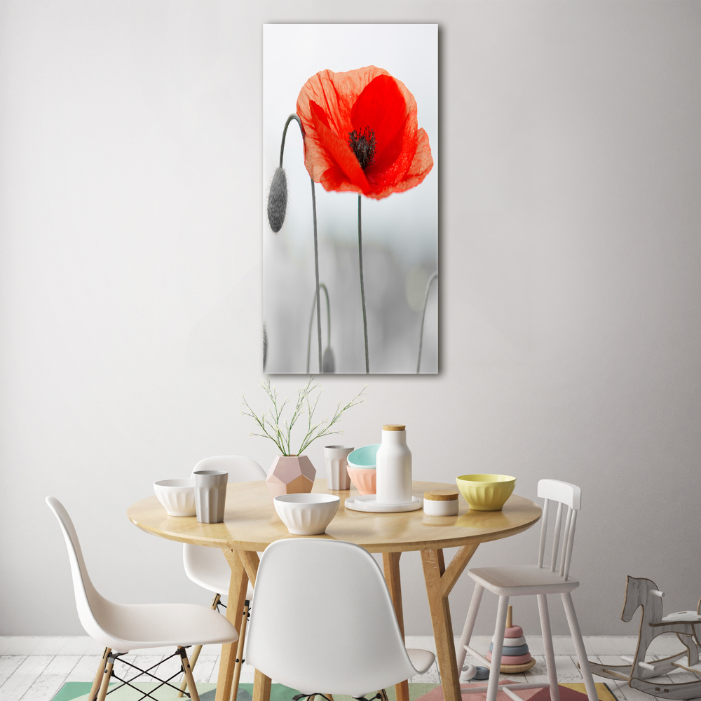 Tableau verre acrylique Coquelicots des champs