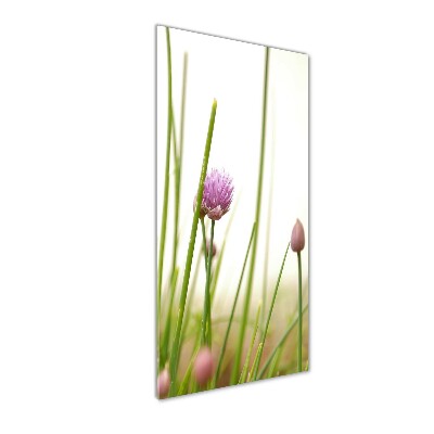 Tableau verre acrylique Fleur de ciboulette