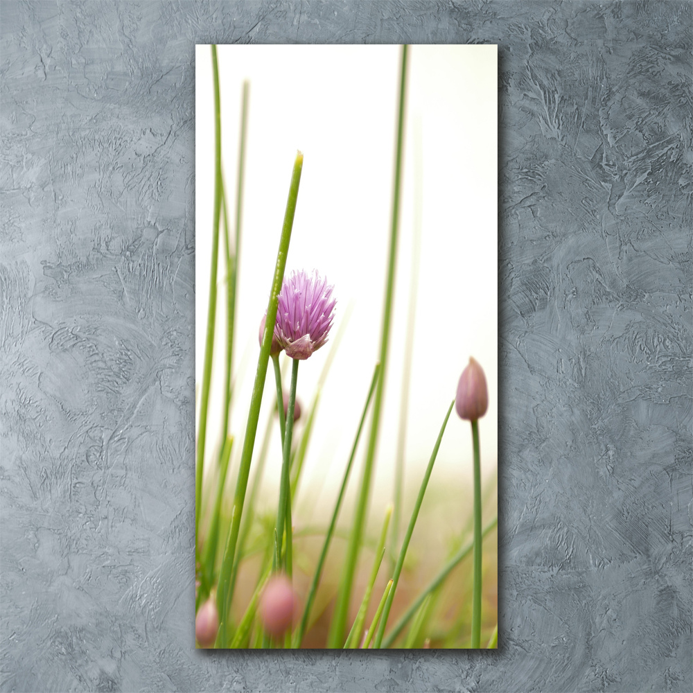 Tableau verre acrylique Fleur de ciboulette