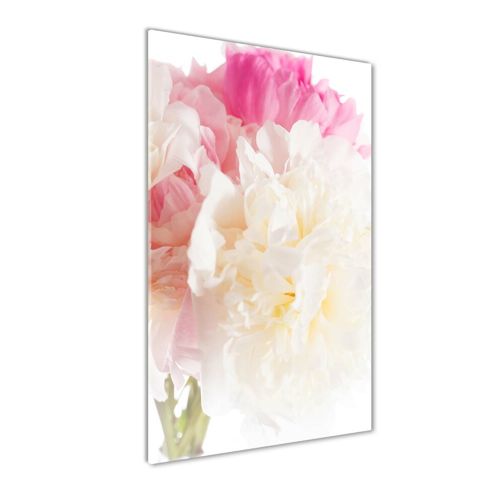 Tableau verre acrylique Pivoine