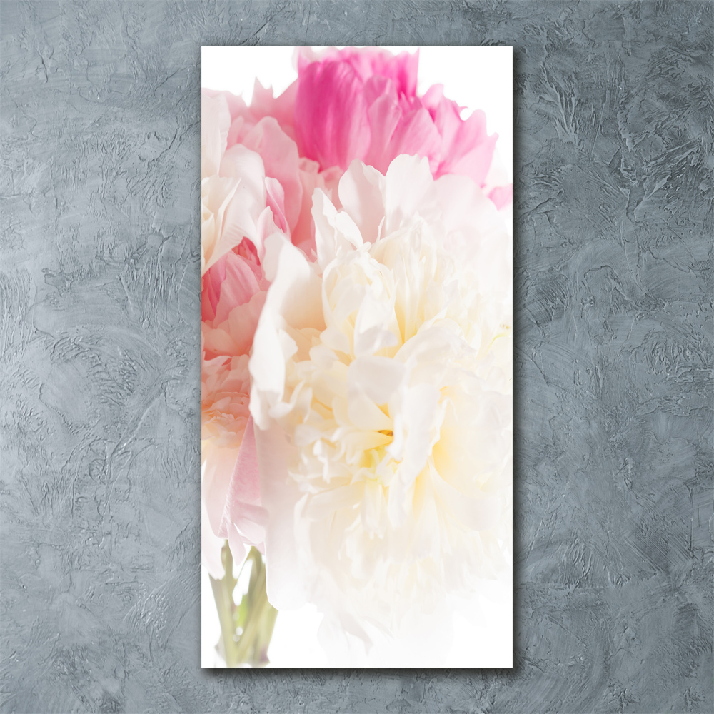 Tableau verre acrylique Pivoine