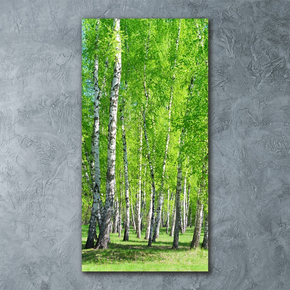 Tableau verre acrylique Forêt bouleau