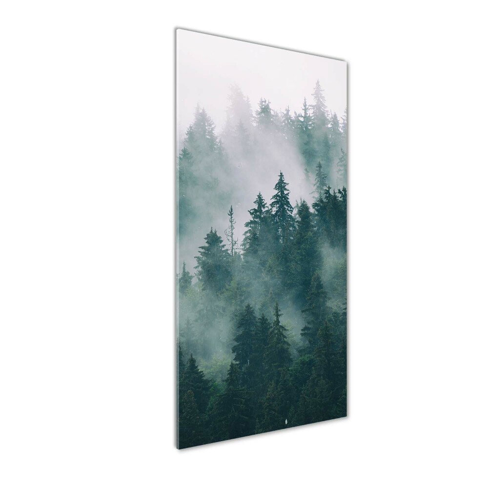 Tableau acrylique Brume sur la forêt