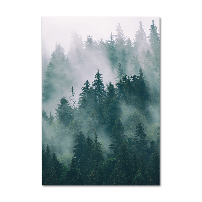 Tableau acrylique Brume sur la forêt