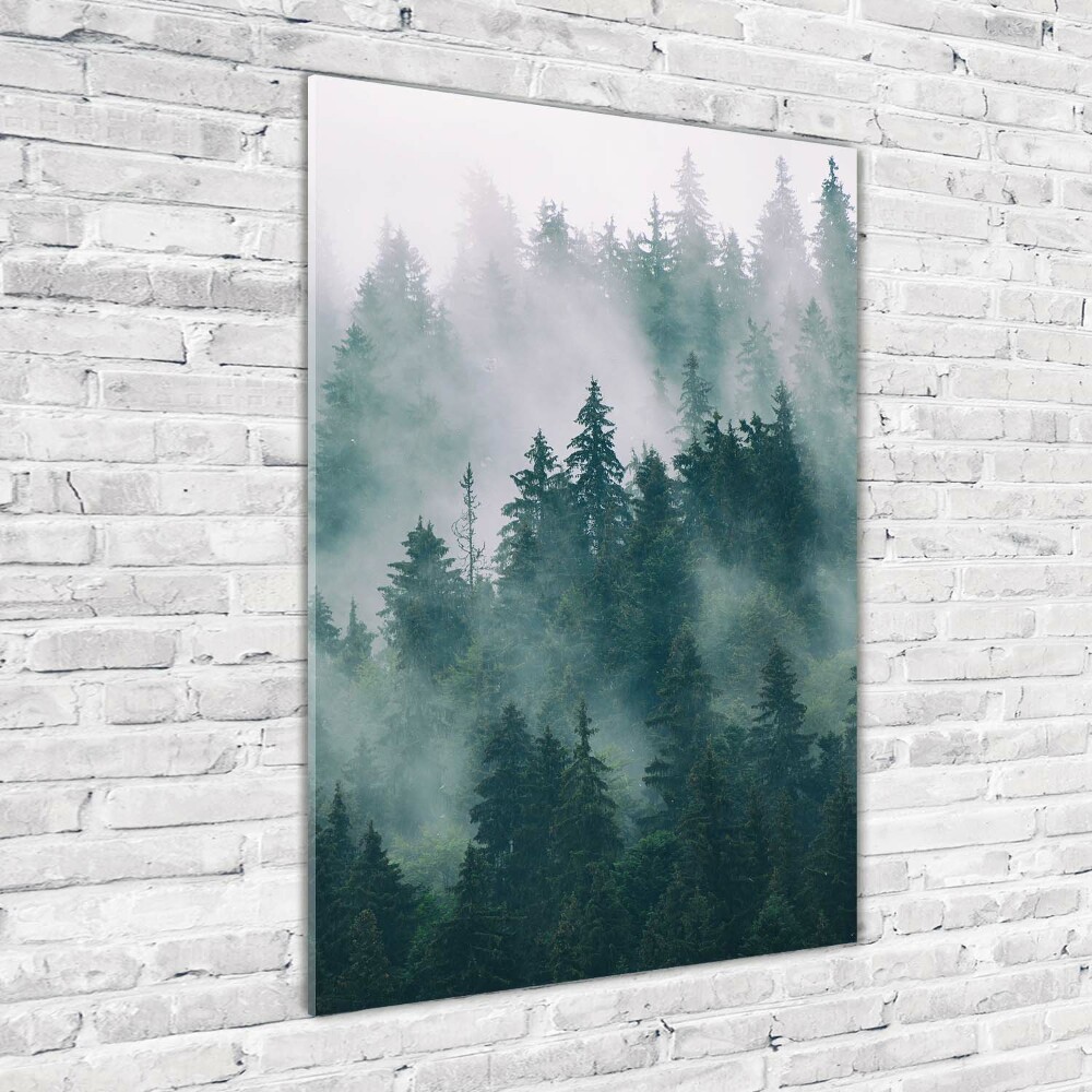 Tableau acrylique Brume sur la forêt