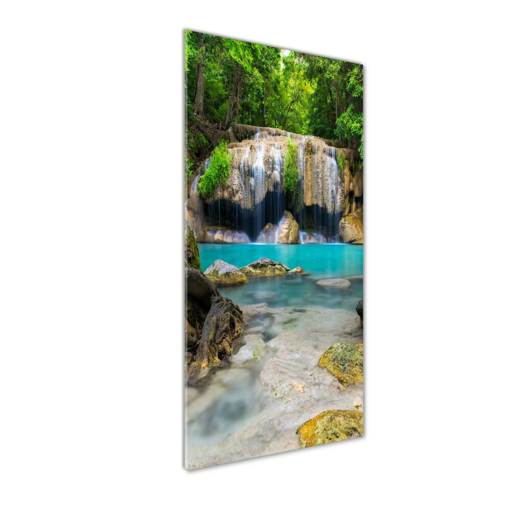 Tableau verre acrylique Cascade dans la jungle