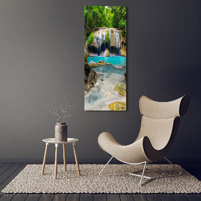 Tableau verre acrylique Cascade dans la jungle